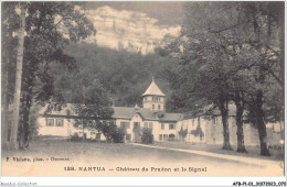 AFBP1-01-0036 - NANTUA - Chateau De Patron Et Le Signal - Nantua