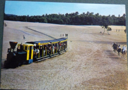 CARTE MER DE SABLE - ERMENONVILLE - OISE - 60 - JEAN RICHARD - LE TRAIN - Ermenonville