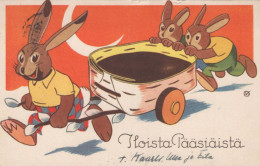 OSTERN KANINCHEN Vintage Ansichtskarte Postkarte CPA #PKE300.A - Easter