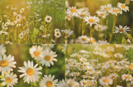 FLOWERS Vintage Ansichtskarte Postkarte CPSM #PBZ033.A - Blumen