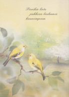 PÁJARO Animales Vintage Tarjeta Postal CPSM #PAN163.A - Birds