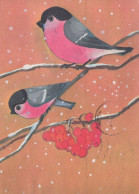 PÁJARO Animales Vintage Tarjeta Postal CPSM #PAN003.A - Birds