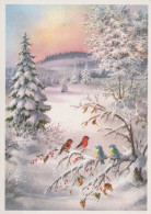 UCCELLO Animale Vintage Cartolina CPSM #PAM818.A - Birds