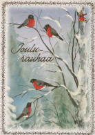 OISEAU Animaux Vintage Carte Postale CPSM #PAM834.A - Birds