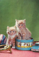 GATO GATITO Animales Vintage Tarjeta Postal CPSM #PAM297.A - Cats