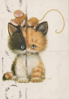 CAT KITTY Animals Vintage Postcard CPSM #PAM146.A - Cats