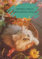 KATZE MIEZEKATZE Tier Vintage Ansichtskarte Postkarte CPSM #PAM105.A - Cats