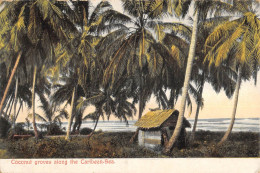 CPA COSTA RICA / COCONUT GROVES ALONG THE CARIBEAN SEA - Costa Rica