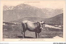 AFRP7-09-0556 - Plateau Du COL DE PUYMAURENS - Vue Sur Les Pics De L'andorre - Le Massif De La Cabanette - Ax Les Thermes