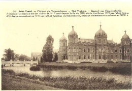 SINT – TRUIDEN « Kasteel Van Nieuwenhoven » - Ed. Desaix, Bxl - Sint-Truiden