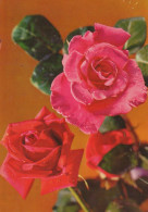 FIORI Vintage Cartolina CPSM #PAR910.A - Fleurs