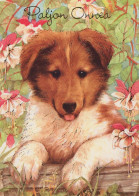 CHIEN Animaux Vintage Carte Postale CPSM #PAN845.A - Hunde