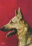 HUND Tier Vintage Ansichtskarte Postkarte CPSM #PAN786.A - Hunde