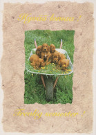 HUND Tier Vintage Ansichtskarte Postkarte CPSM #PAN726.A - Dogs