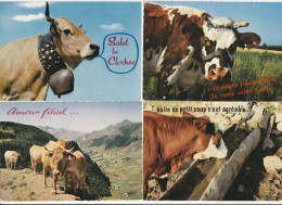 LOT DE 4 CARTES . - Clin D'oeil D'humour - Cows