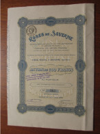 FRANCE - 67 - BAS-RHIN , SAVERNE 1924 - ROSES DE SAVERNE - ACTION DE 500 FRS - TIRAGE : 300 ACTIONS - Autres & Non Classés