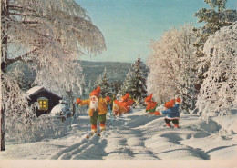 BABBO NATALE Buon Anno Natale GNOME Vintage Cartolina CPSM #PBB049.A - Santa Claus