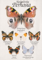SCHMETTERLINGE Tier Vintage Ansichtskarte Postkarte CPSM #PBS449.A - Schmetterlinge