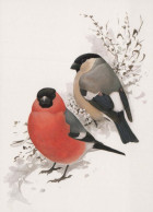 VOGEL Tier Vintage Ansichtskarte Postkarte CPSM #PBR688.A - Vögel