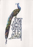 VOGEL Tier Vintage Ansichtskarte Postkarte CPSM #PBR628.A - Vögel