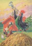 VOGEL Tier Vintage Ansichtskarte Postkarte CPSM #PBR583.A - Pájaros