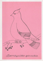 BIRD Animals Vintage Postcard CPSM #PBR459.A - Pájaros