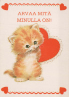 GATO GATITO Animales Vintage Tarjeta Postal CPSM #PBQ824.A - Chats