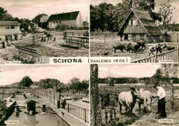 72633911 Schoena Soernewitz Freibad Tiergehege Dahlener Heide Schoena Soernewitz - Other & Unclassified