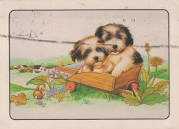 CANE Animale Vintage Cartolina CPSM #PBQ595.A - Chiens