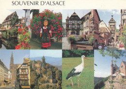 France  Alsace - Autres & Non Classés