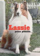 DOG Animals Vintage Postcard CPSM #PBQ413.A - Honden
