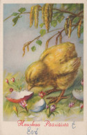 OSTERN FLOWERS HUHN EI Vintage Ansichtskarte Postkarte CPA #PKE455.A - Pâques