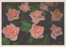FIORI Vintage Cartolina CPSM #PBZ666.A - Fleurs