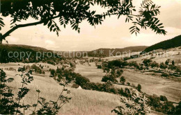 72633708 Holzhau Rechenberg-Bienenmuehle Landschaftspanorama Rechenberg-Bienenmu - Rechenberg-Bienenmühle