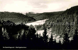 72633586 Klettigshammer Panorama Sormitzgrund Wald Klettigshammer - To Identify