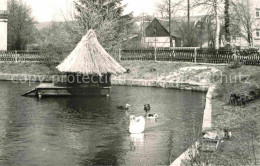 72633516 Rathewalde Schwanenteich Entenhaus Rathewalde - Autres & Non Classés