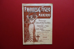 P. Marussig E Figlio Manzano Catalogo Mobili Uso Vienna Thonet Passero Udine - Non Classificati