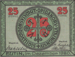 25 PFENNIG 1920 Stadt EUTIN Oldenburg UNC DEUTSCHLAND Notgeld Banknote #PB397 - [11] Lokale Uitgaven