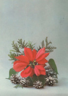 FIORI Vintage Cartolina CPSM #PAS412.IT - Flowers