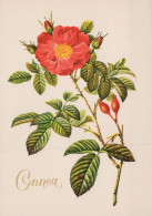 FIORI Vintage Cartolina CPSM #PAS292.IT - Flowers