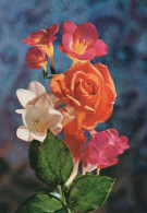 FIORI Vintage Cartolina CPSM #PAS232.IT - Fleurs