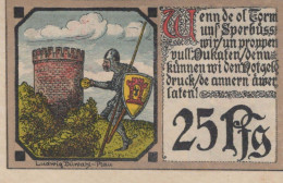 25 PFENNIG 1921 Stadt PLAU Mecklenburg-Schwerin UNC DEUTSCHLAND Notgeld #PB538 - [11] Local Banknote Issues