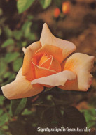 FLOWERS Vintage Ansichtskarte Postkarte CPSM #PAS351.DE - Blumen