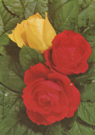 FLOWERS Vintage Ansichtskarte Postkarte CPSM #PAR990.DE - Blumen