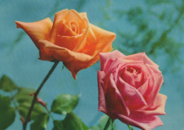 FLOWERS Vintage Ansichtskarte Postkarte CPSM #PAS171.DE - Blumen