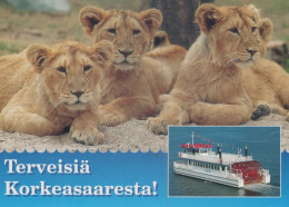 LION RAUBKATZE Tier Vintage Ansichtskarte Postkarte CPSM Unposted #PAM004.DE - Löwen