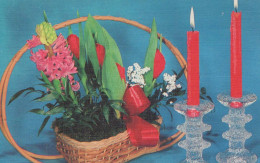 FIORI Vintage Cartolina CPSMPF #PKG117.IT - Flowers