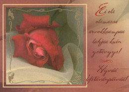 FIORI Vintage Cartolina CPSM #PBZ159.IT - Blumen