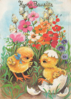 PASQUA POLLO UOVO Vintage Cartolina CPSM #PBO747.IT - Pâques