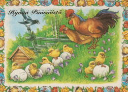 PASQUA POLLO UOVO Vintage Cartolina CPSM #PBO874.IT - Pâques
